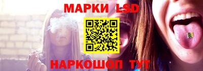 индика Моздок