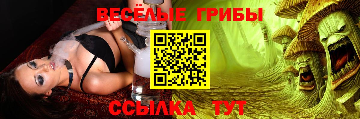 Псилоцибиновые грибы Psilocybe  Вход с VPN  Саров 